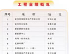 工程业绩概况